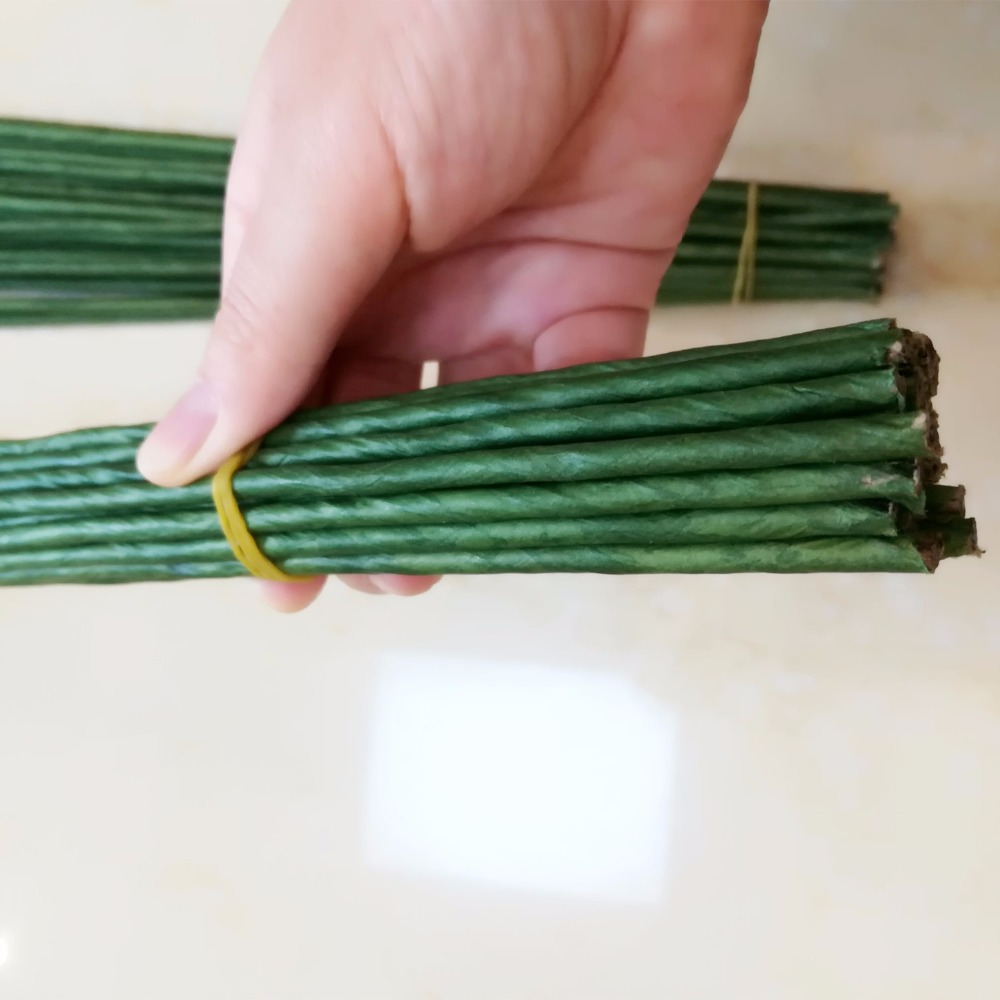 1mm 2/3/4/5mm 40/60cm Dark Gre - Wire Stem Florist recension och pris